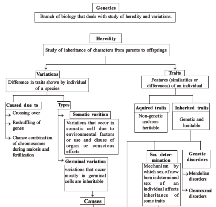 NEET-Biology-Heredity-and-Variation-MCQs-Set-B