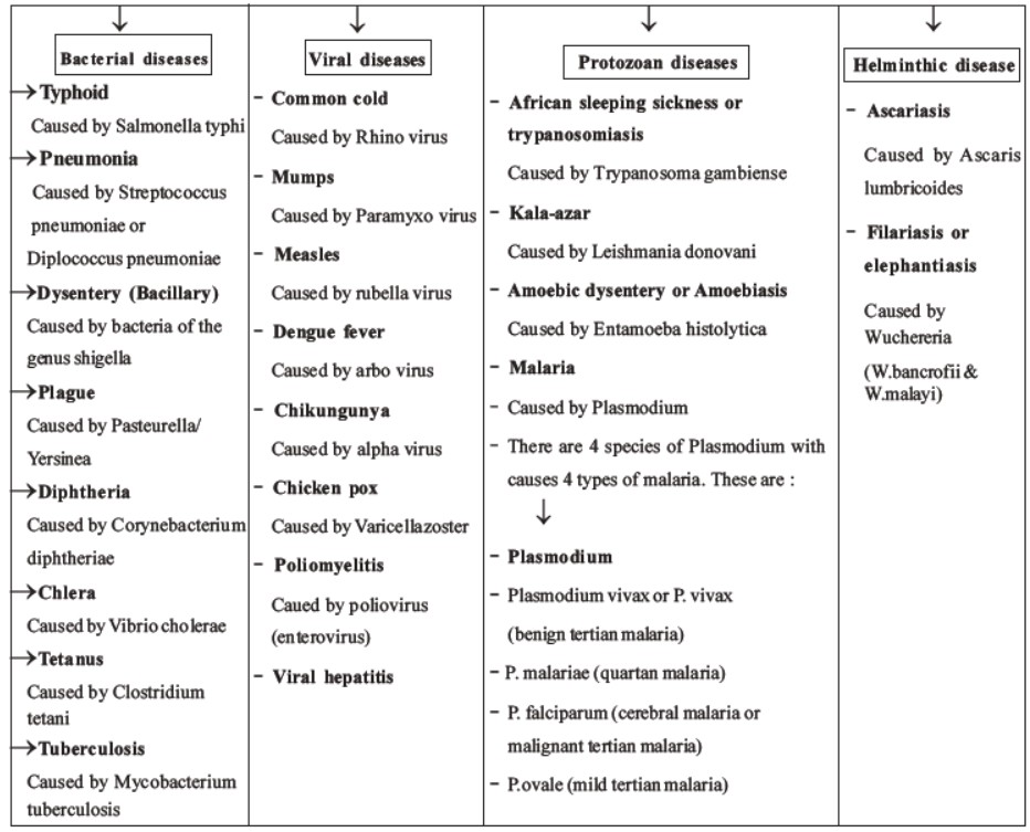 NEET-Biology-Human-Health-and-Diseases-MCQs-Set-B﻿