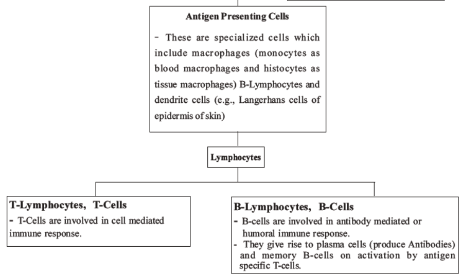 NEET-Biology-Human-Health-and-Diseases-MCQs-Set-B﻿