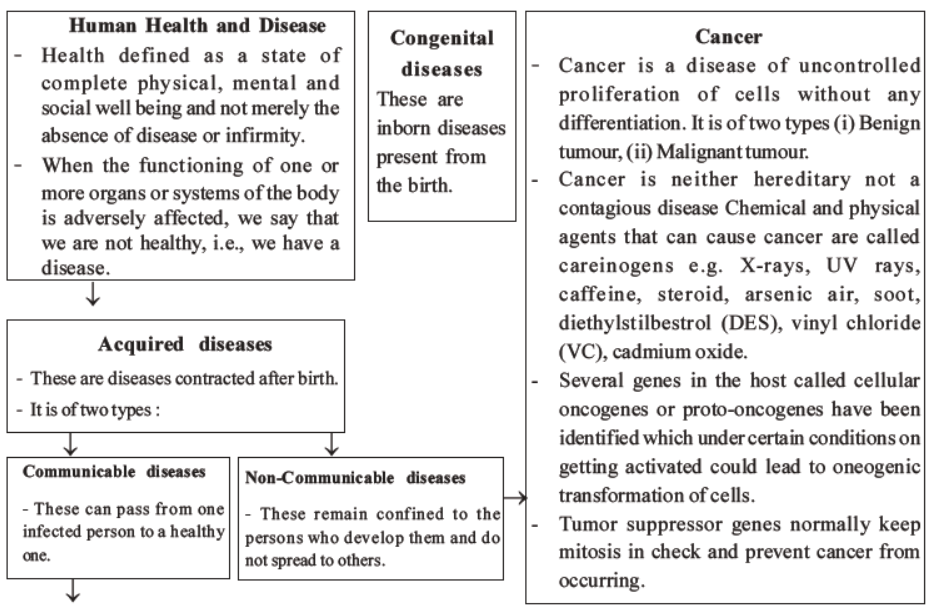 NEET-Biology-Human-Health-and-Diseases-MCQs-Set-B﻿