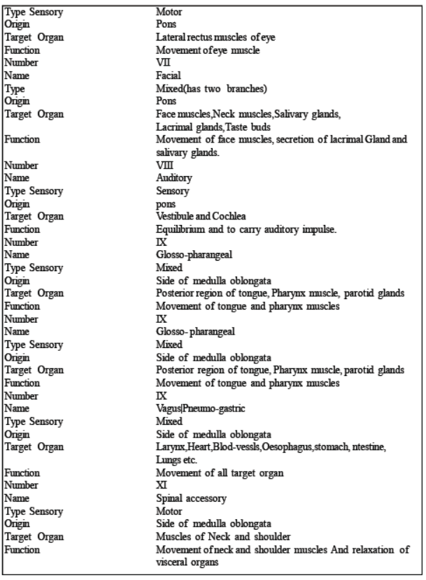 neet-biology-neural-control-and-coordination-mcqs-set-b