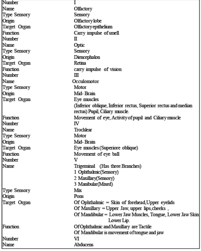 neet-biology-neural-control-and-coordination-mcqs-set-b