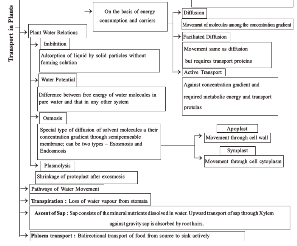 neet-biology-transport-in-plants-mcqs-set-a