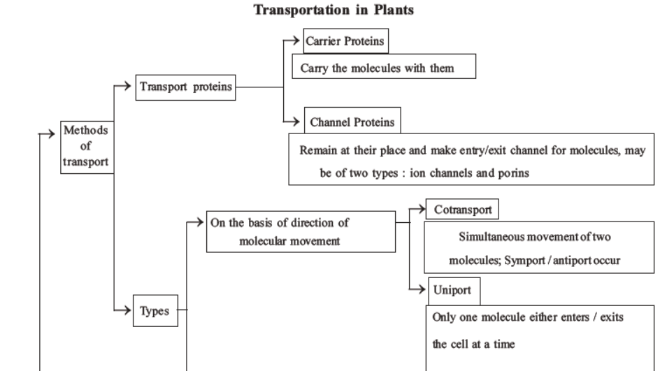 neet-biology-transport-in-plants-mcqs-set-a
