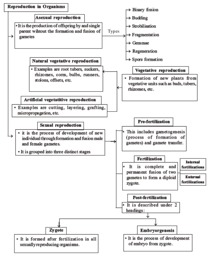 neet-reproduction-organisms-mcqs-set-a