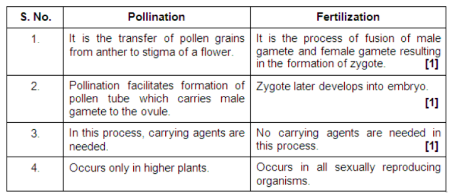 CBSE Class 10 Biology How Do Organisms Reproduce