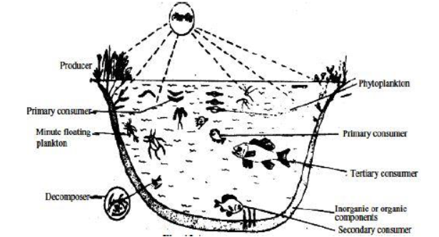 CBSE Class 10 Biology Our Environment Management Of Natural Resourcesp