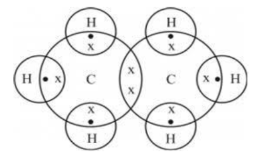 CBSE Class 10 Chemistry Carbon And Its Compounds