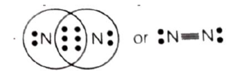 CBSE Class 10 Chemistry Carbon And Its Compounds