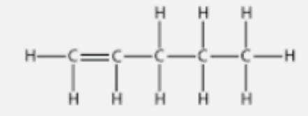 CBSE Class 10 Chemistry Carbon And Its Compounds