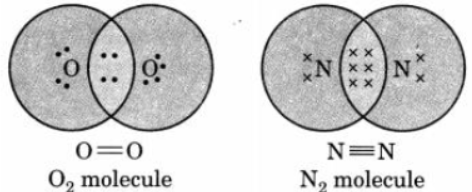 CBSE Class 10 Chemistry Carbon And Its Compounds