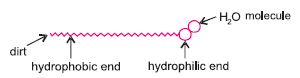 ""CBSE-Class-10-Chemistry-Carbon-And-Its-Compounds