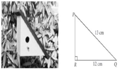 ""CBSE-Class-10-Mathematics-Introduction-to-Trigonometry-2