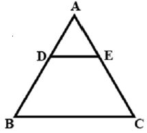 ""CBSE-Class-10-Mathematics-Triangles-3