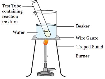 ""CBSE-Class-10-Science-Carbon-and-its-Compounds-1