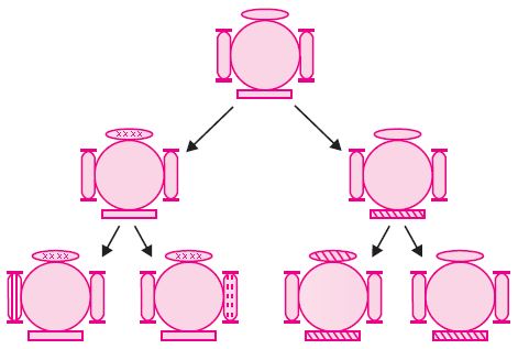 ""CBSE-Class-10-Science-Heredity-and-Evolution-3