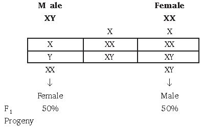 ""CBSE-Class-10-Science-Heredity-and-Evolution