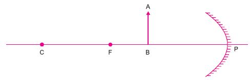 ""CBSE-Class-10-Science-Light-Reflection-and-Refraction-14