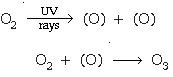 ""CBSE-Class-10-Science-Our-Environment-3