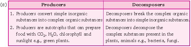 ""CBSE-Class-10-Science-Our-Environment