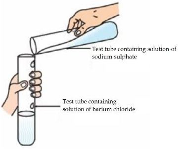 ""CBSE-Class-10-Science-Sample-Paper-2024