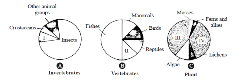 CBSE Class 11 Biology Animal Kingdom