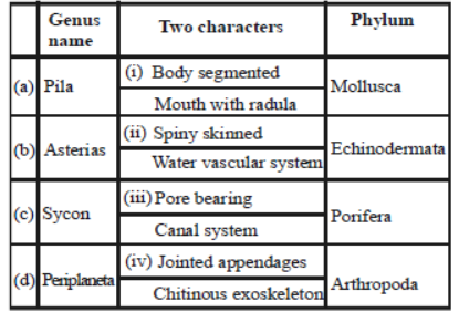 CBSE Class 11 Biology Animal Kingdom