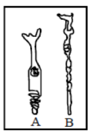 CBSE Class 11 Biology Neural Control and Coordination