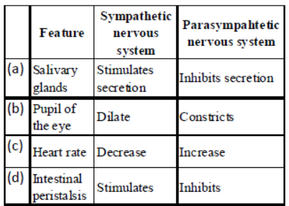 CBSE Class 11 Biology Neural Control and Coordination