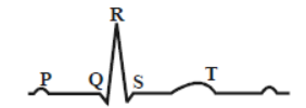 CBSE Class 11 Body Fluids and Circulation