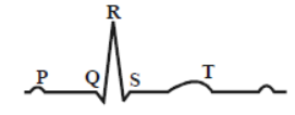 CBSE Class 11 Body Fluids and Circulation