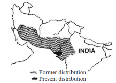 CBSE Class 12 Biology Biodiversity And Conservation