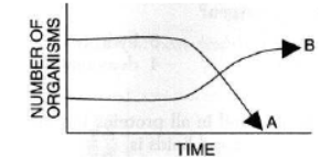 CBSE Class 12 Biology Ecosystem Worksheet