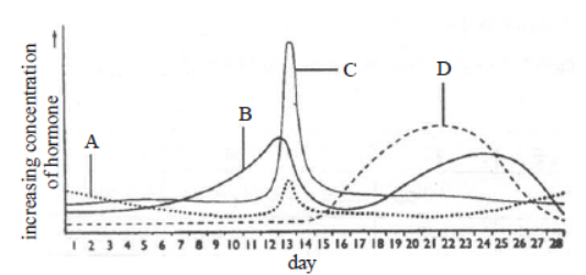 CBSE Class 12 Biology Human Reproduction Worksheet