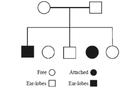 CBSE Class 12 Biology Principles of Inheritance And Variation