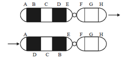 CBSE Class 12 Biology Principles of Inheritance And Variation