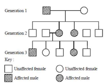 CBSE Class 12 Biology Principles of Inheritance And Variation