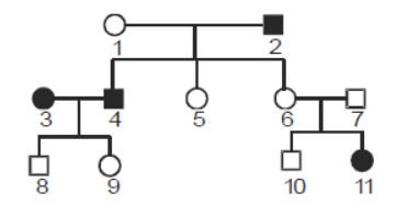 CBSE Class 12 Biology Principles of Inheritance And Variation