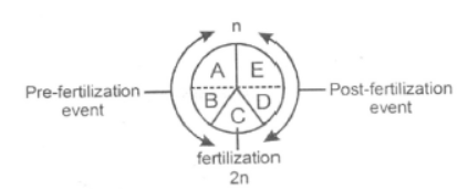 CBSE Class 12 Biology Reproduction In Organisms