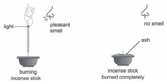 ""CBSE-Class-6-Science-Sample-Paper-Set-5-1