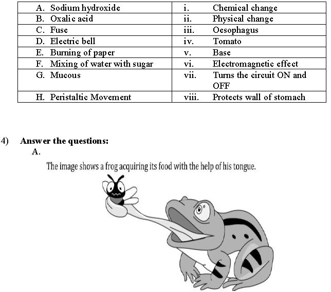 ""CBSE-Class-7-Science-Sample-Paper-Set-6-11