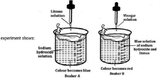 ""CBSE-Class-7-Science-Sample-Paper-Set-6-3