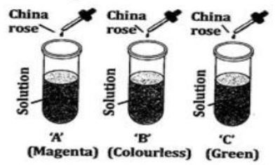""CBSE-Class-7-Science-Sample-Paper-Set-6-4