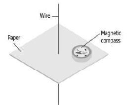 ""CBSE-Class-7-Science-Sample-Paper-Set-6-6
