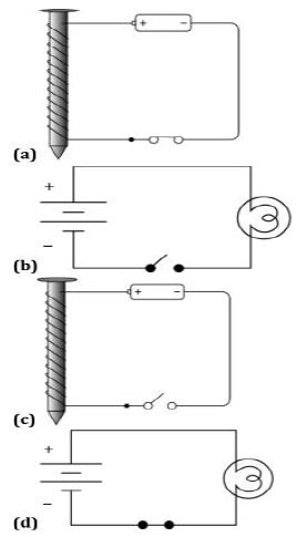 ""CBSE-Class-7-Science-Sample-Paper-Set-6