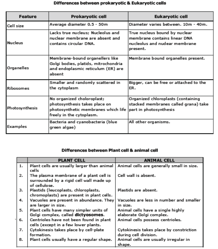 CBSE Class 8 Science Cell Structure And Functions