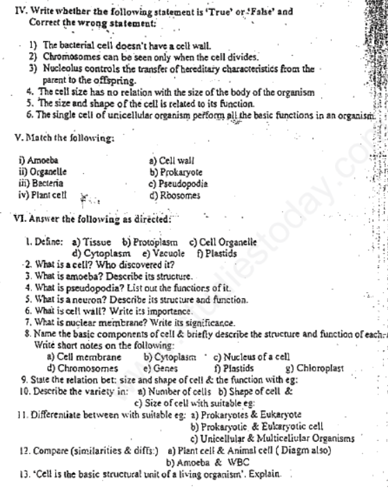 CBSE Class 8 Science Cell Structure and Functions