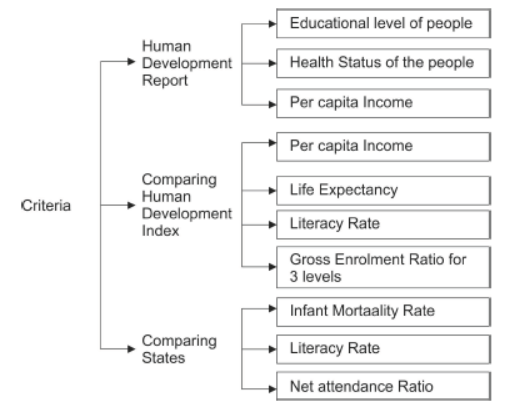 Class 10 Social Science Economics Development