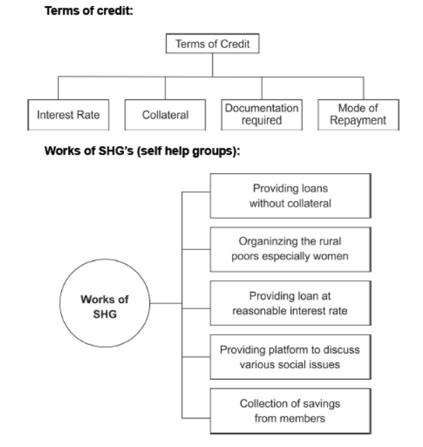 Class 10 Social Science Economics Money And Credit