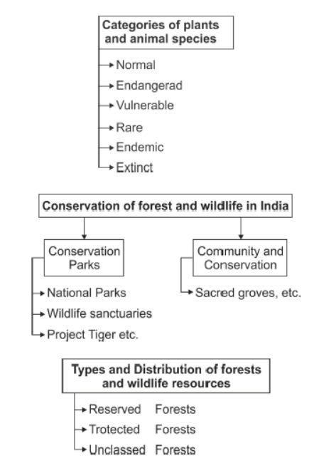 Class 10 Social Science Geography Forest and Wildlife Resources